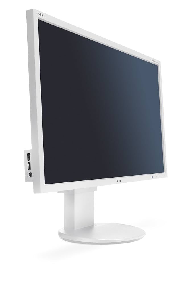 NEC MultiSync EA243WM 24 inch LCD Monitor with LED Backlight